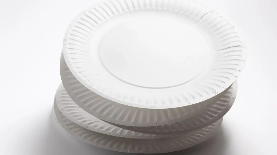paper plate