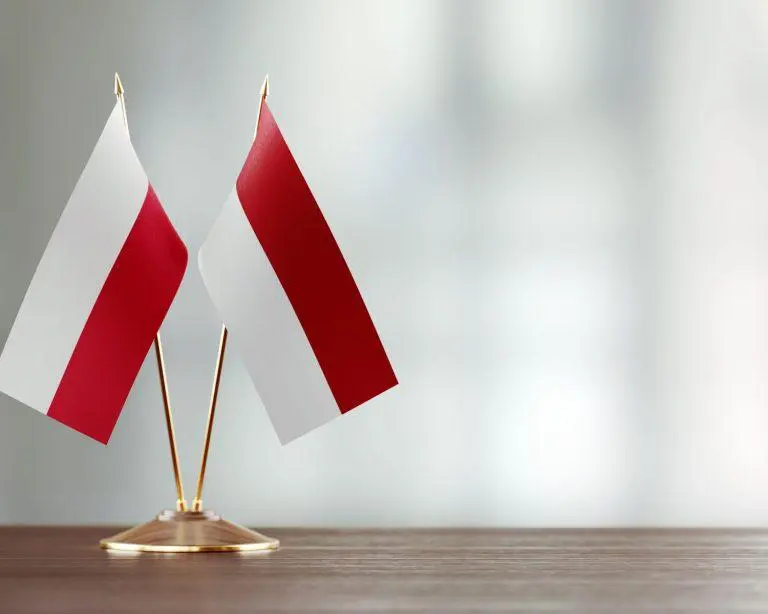 polish flag