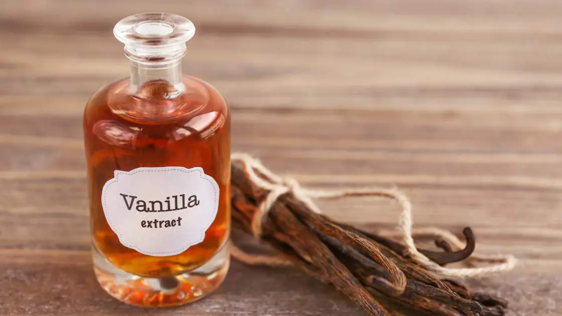 vanilla and vanilla extract