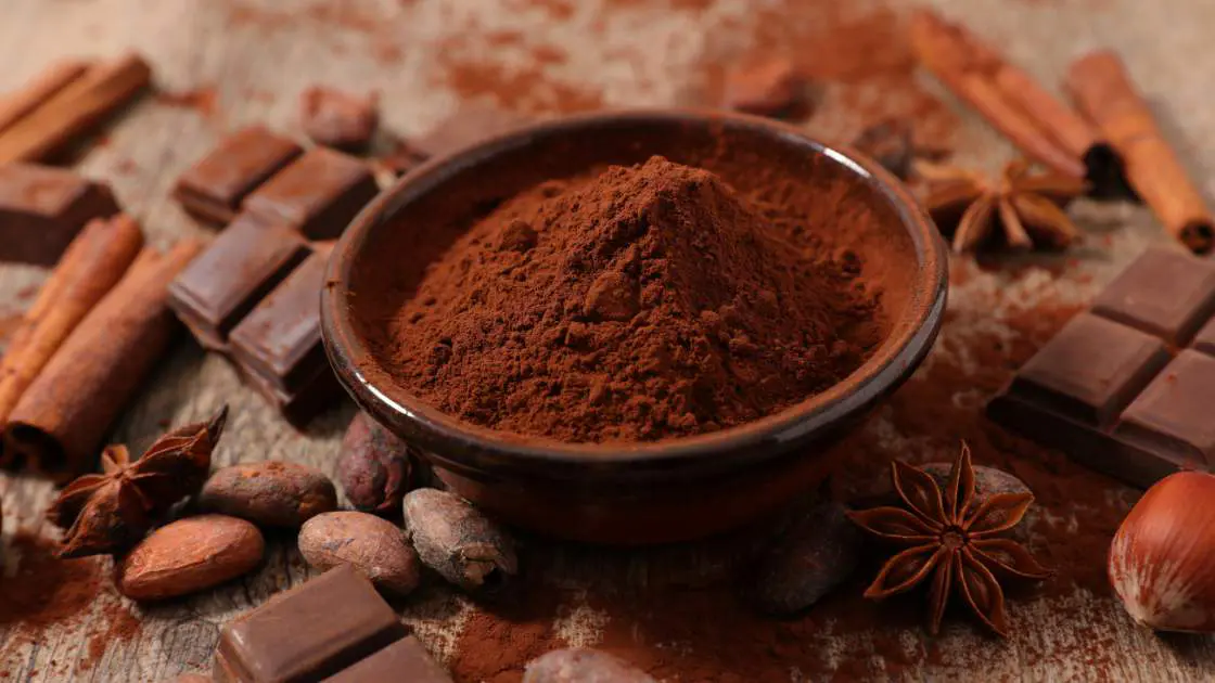 cocoa powder and chocolate